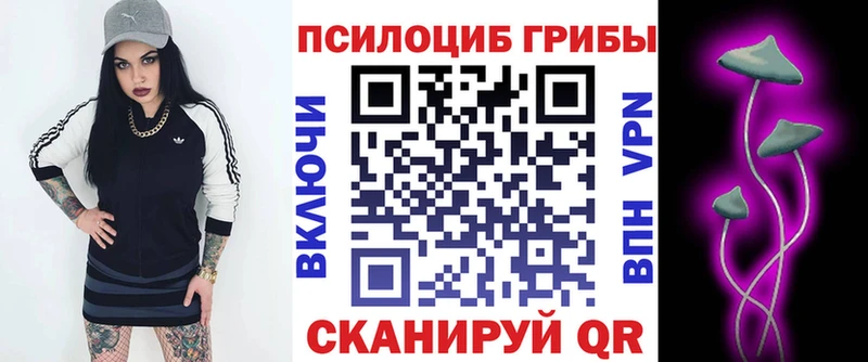 Галлюциногенные грибы Cubensis Долгопрудный