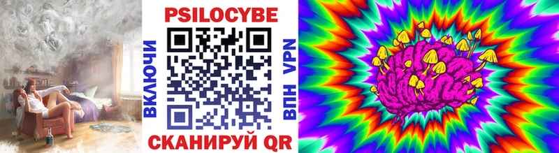 сколько стоит  Долгопрудный  blacksprut   Псилоцибиновые грибы мицелий 